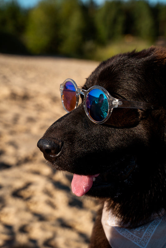 We can't wait to spend time with your pet this Summer!